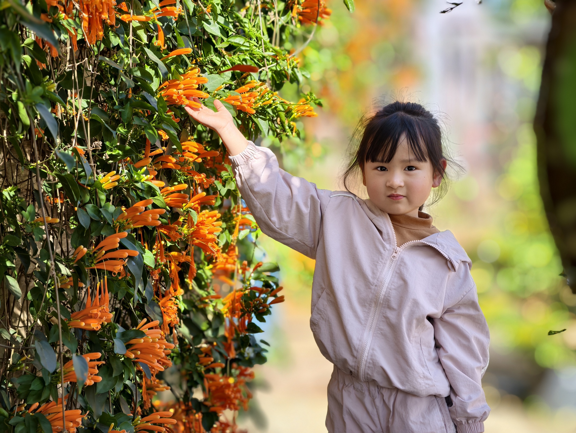 Căn nhà đang "nổi như cồn" ở Lâm Đồng - Ảnh 15