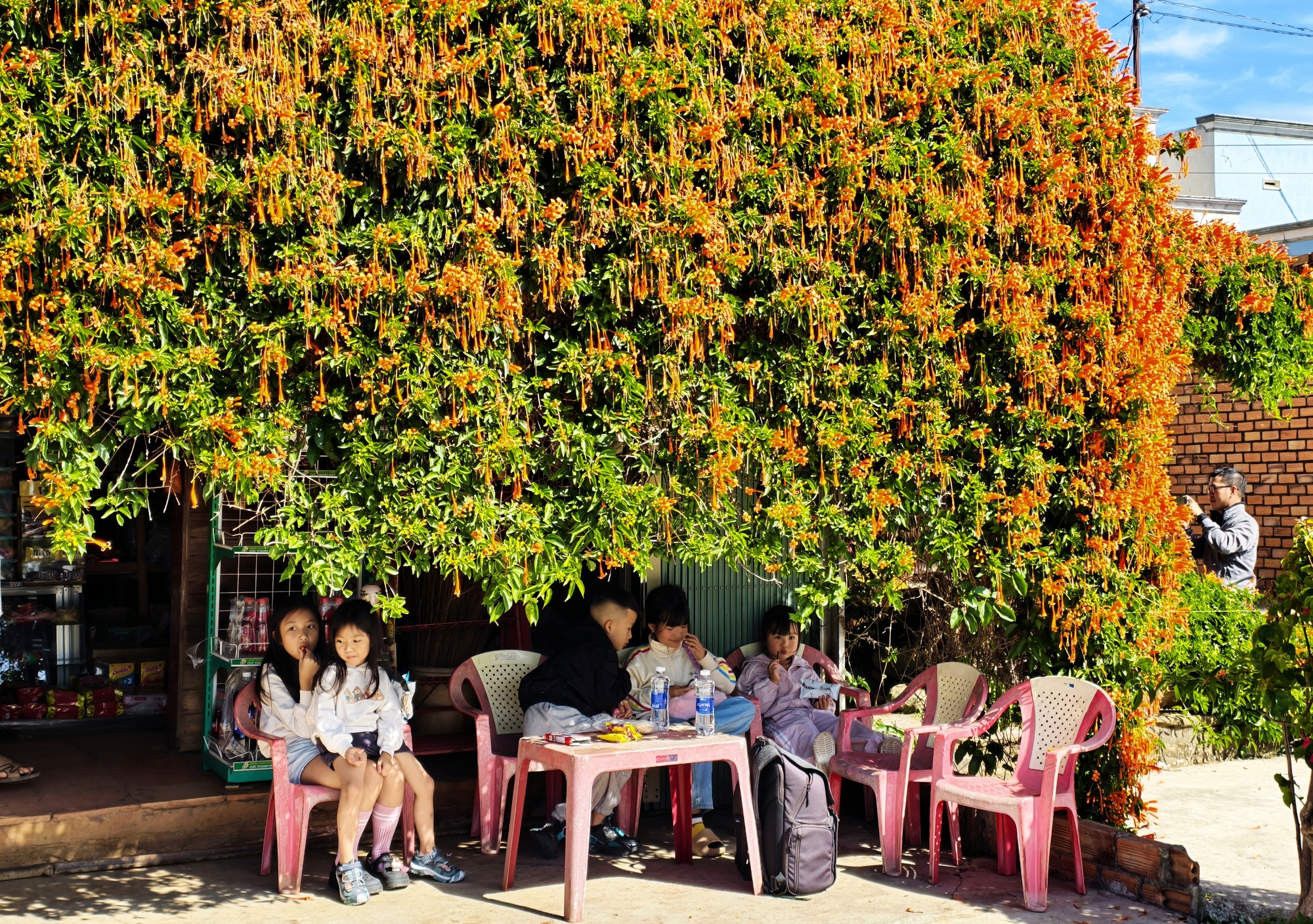 Căn nhà đang "nổi như cồn" ở Lâm Đồng - Ảnh 18