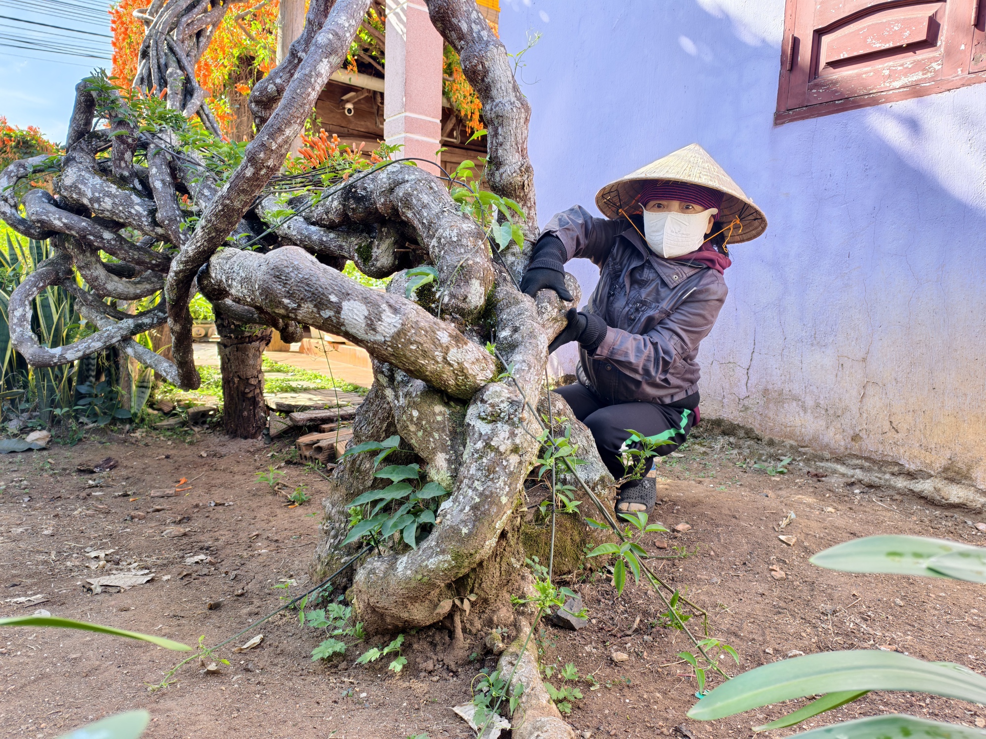 Căn nhà đang "nổi như cồn" ở Lâm Đồng - Ảnh 4