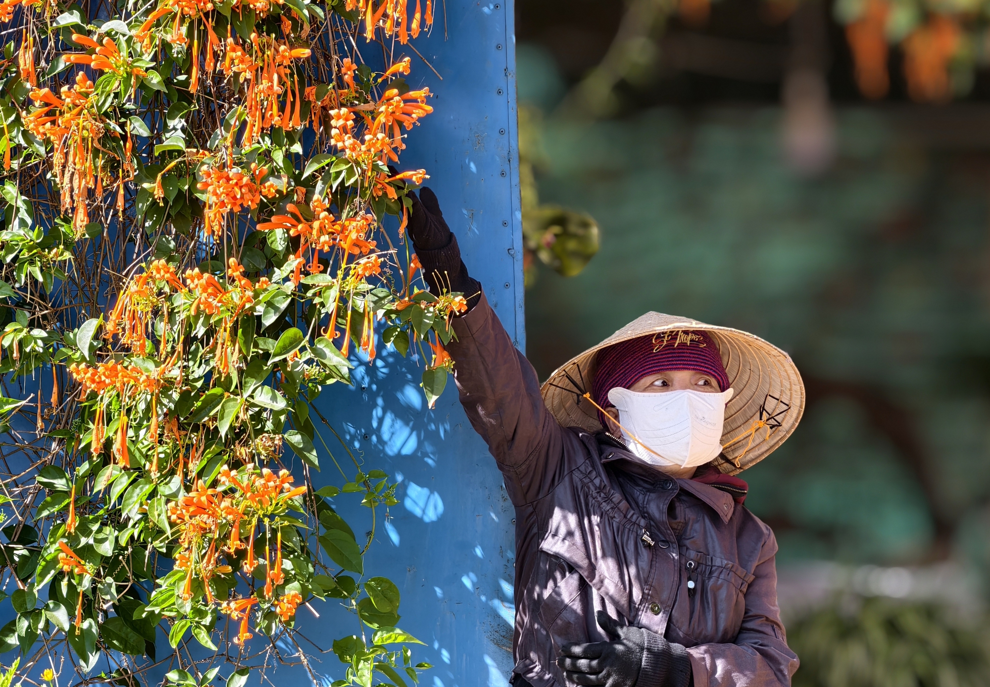 Căn nhà đang "nổi như cồn" ở Lâm Đồng - Ảnh 5