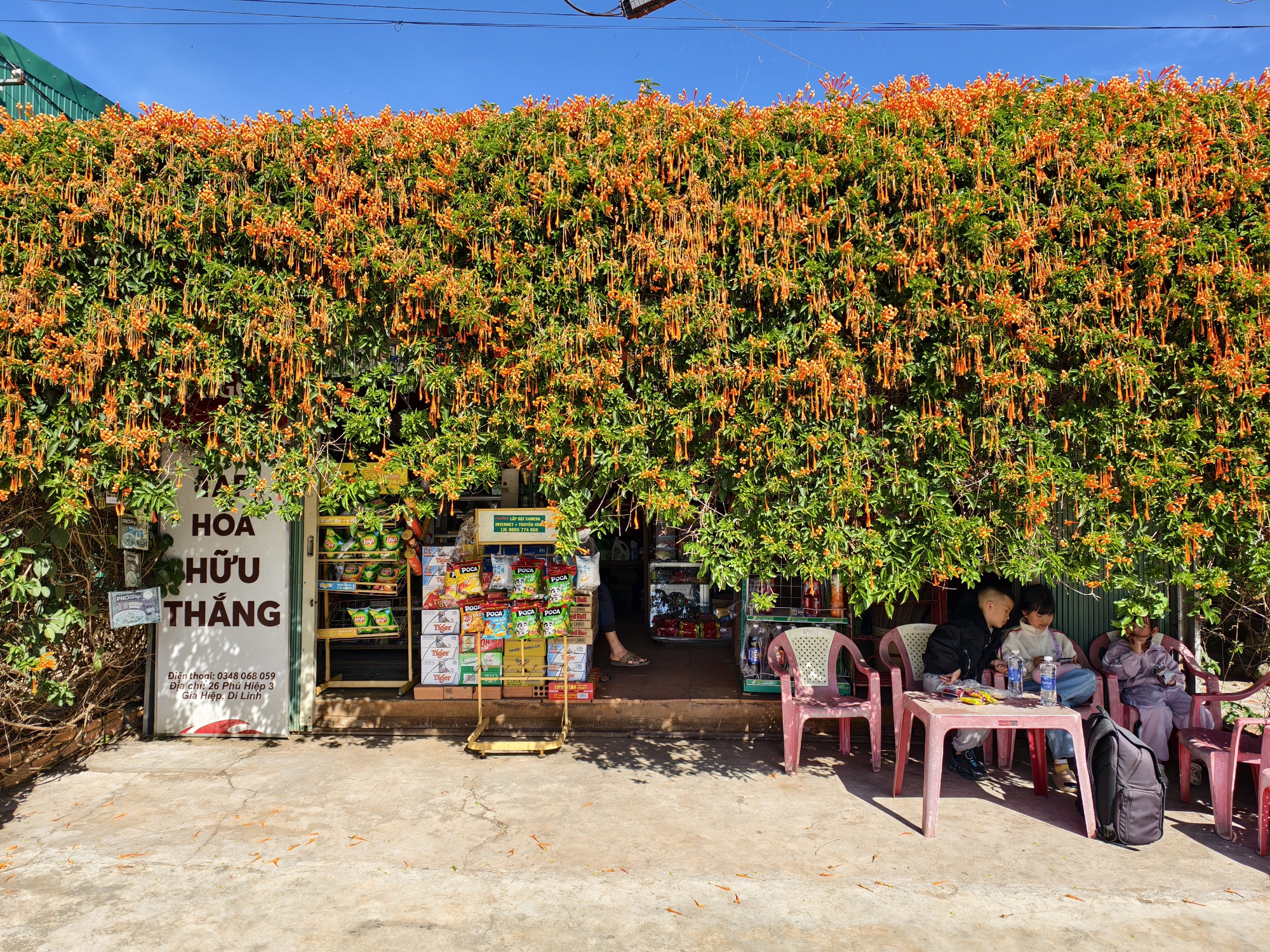 Căn nhà đang "nổi như cồn" ở Lâm Đồng - Ảnh 6