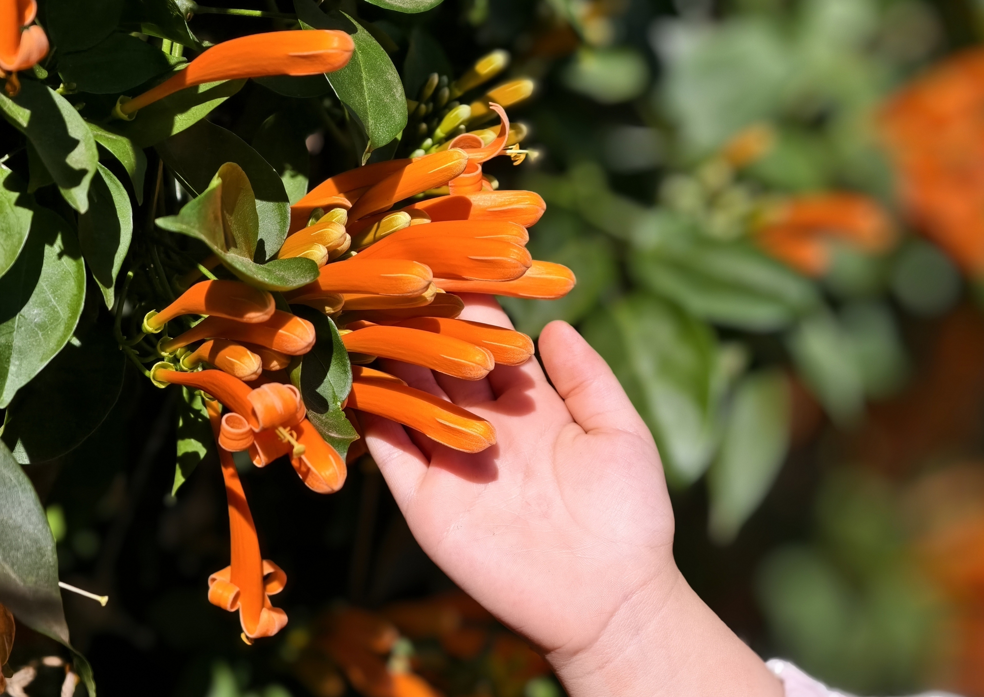 Căn nhà đang "nổi như cồn" ở Lâm Đồng - Ảnh 7