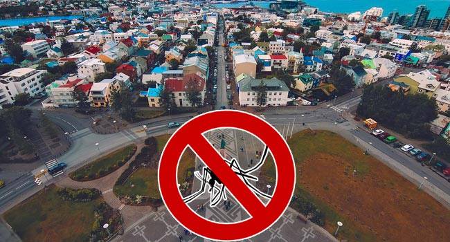 Một quốc gia không có bất kỳ con muỗi nào - Ảnh 1