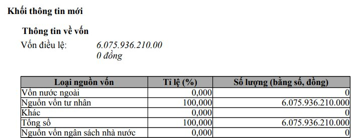 FLC Faros của cựu Chủ tịch Trịnh Văn Quyết bất ngờ bơm vốn lên hơn 6.000 tỷ đồng - Ảnh 1