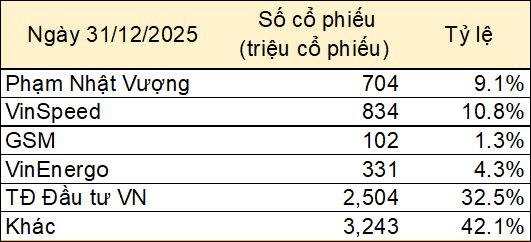Đằng sau việc góp vốn bằng cổ phiếu Vingroup vào Vinspeed - Ảnh 1