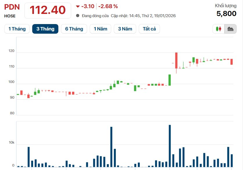 Công ty cảng biển 6.000 tỷ báo lãi kỷ lục, EPS 7.350 đồng, tiền mặt chiếm 50% tài sản - Ảnh 4