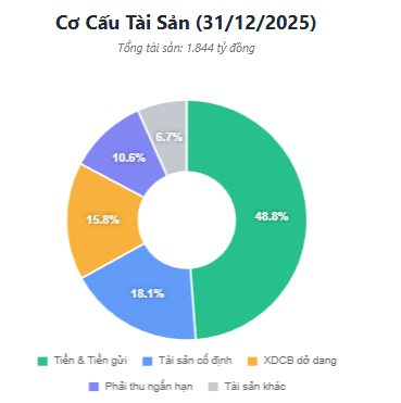 Công ty cảng biển 6.000 tỷ báo lãi kỷ lục, EPS 7.350 đồng, tiền mặt chiếm 50% tài sản - Ảnh 3