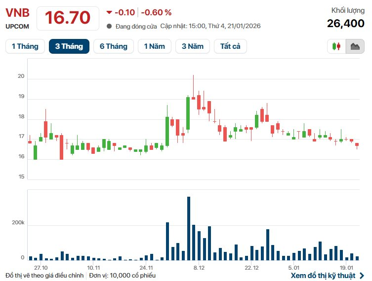 Một doanh nghiệp liên quan Vingroup đem 80% tài sản đi cho vay lãi suất cao - Ảnh 2