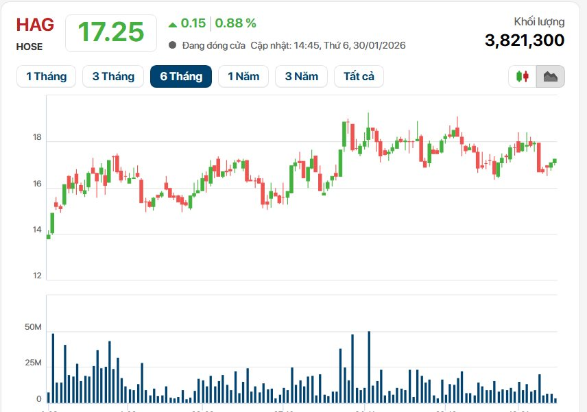 Ngày trở lại của Bầu Đức: HAGL lãi cao nhất lịch sử hơn 2.200 tỷ, tổng tài sản vượt mốc 1 tỷ USD - Ảnh 4