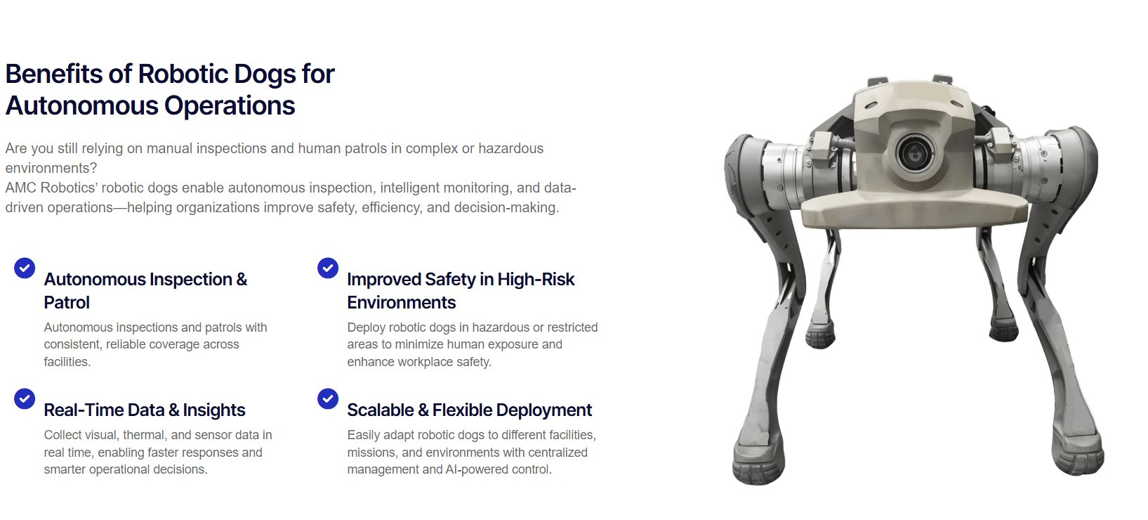 Hãng robot Mỹ chọn TP.HCM làm cứ điểm sản xuất chó máy toàn cầu - Ảnh 2