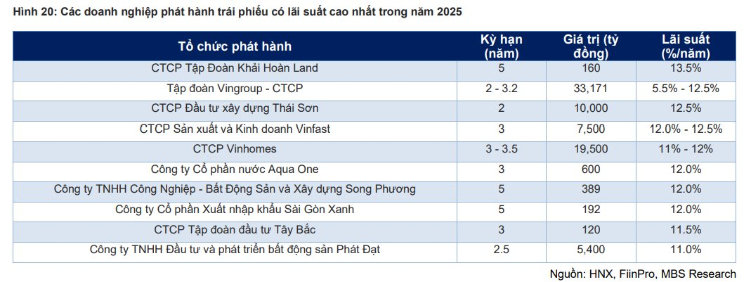 Vượt qua các công ty họ Vingroup, một 'đại gia' bất động sản phát hành trái phiếu có lãi suất cao nhất thị trường với 13,5%/năm - Ảnh 1