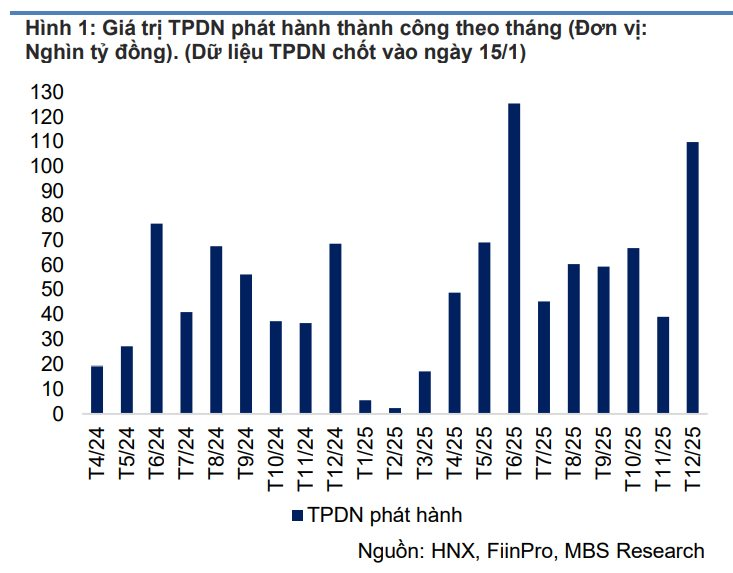 Vượt qua các công ty họ Vingroup, một 'đại gia' bất động sản phát hành trái phiếu có lãi suất cao nhất thị trường với 13,5%/năm - Ảnh 3
