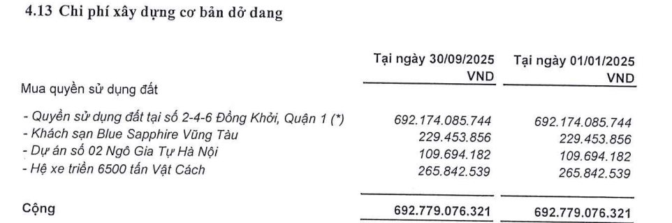 Lộ diện nhóm Novaland tại công ty nghìn tỷ nắm ‘đất vàng’ tại tp.HCM - Ảnh 1