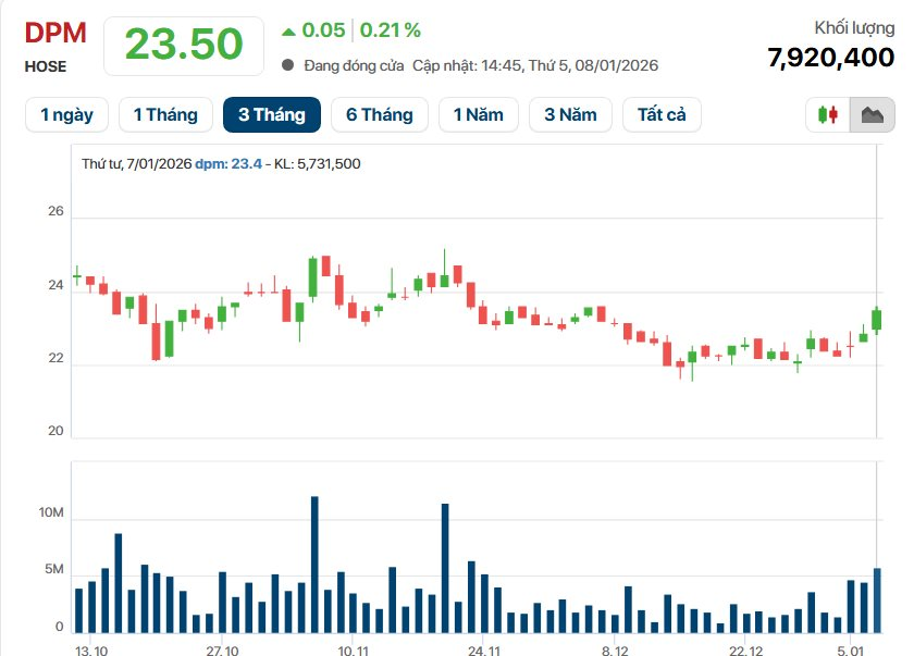 Mỗi nhân viên mang về gần hơn 900 triệu doanh thu/tháng, Đạm Phú Mỹ (DPM) toan tính gì cho năm 2026? - Ảnh 2