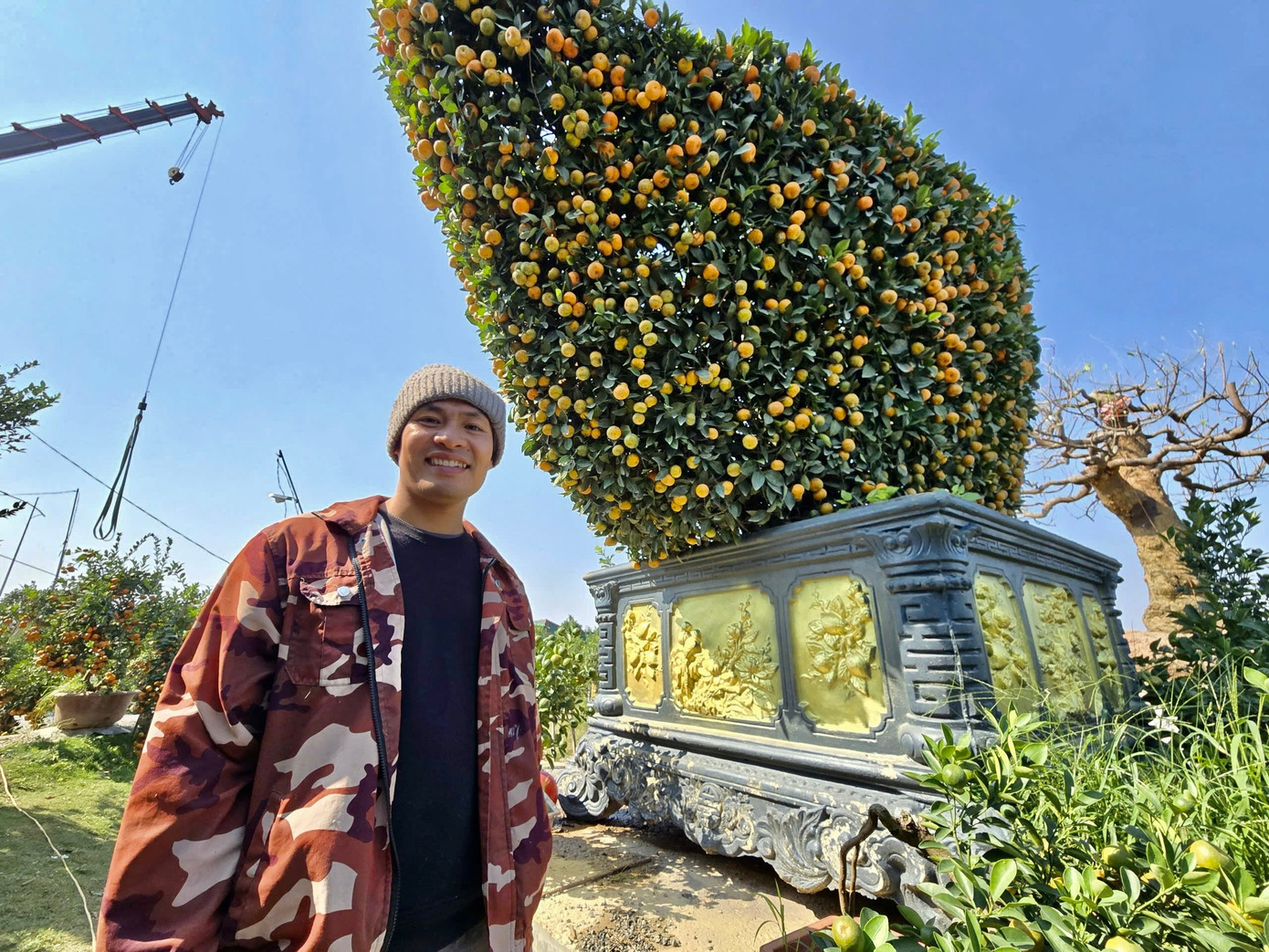 Choáng ngợp loạt ‘siêu phẩm’ cây cảnh chơi Tết ở Hưng Yên giá hàng trăm triệu đồng - Ảnh 3