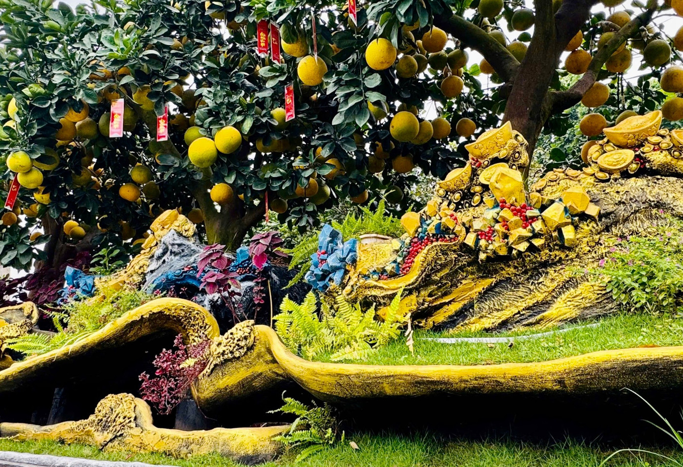 Choáng ngợp loạt ‘siêu phẩm’ cây cảnh chơi Tết ở Hưng Yên giá hàng trăm triệu đồng - Ảnh 4