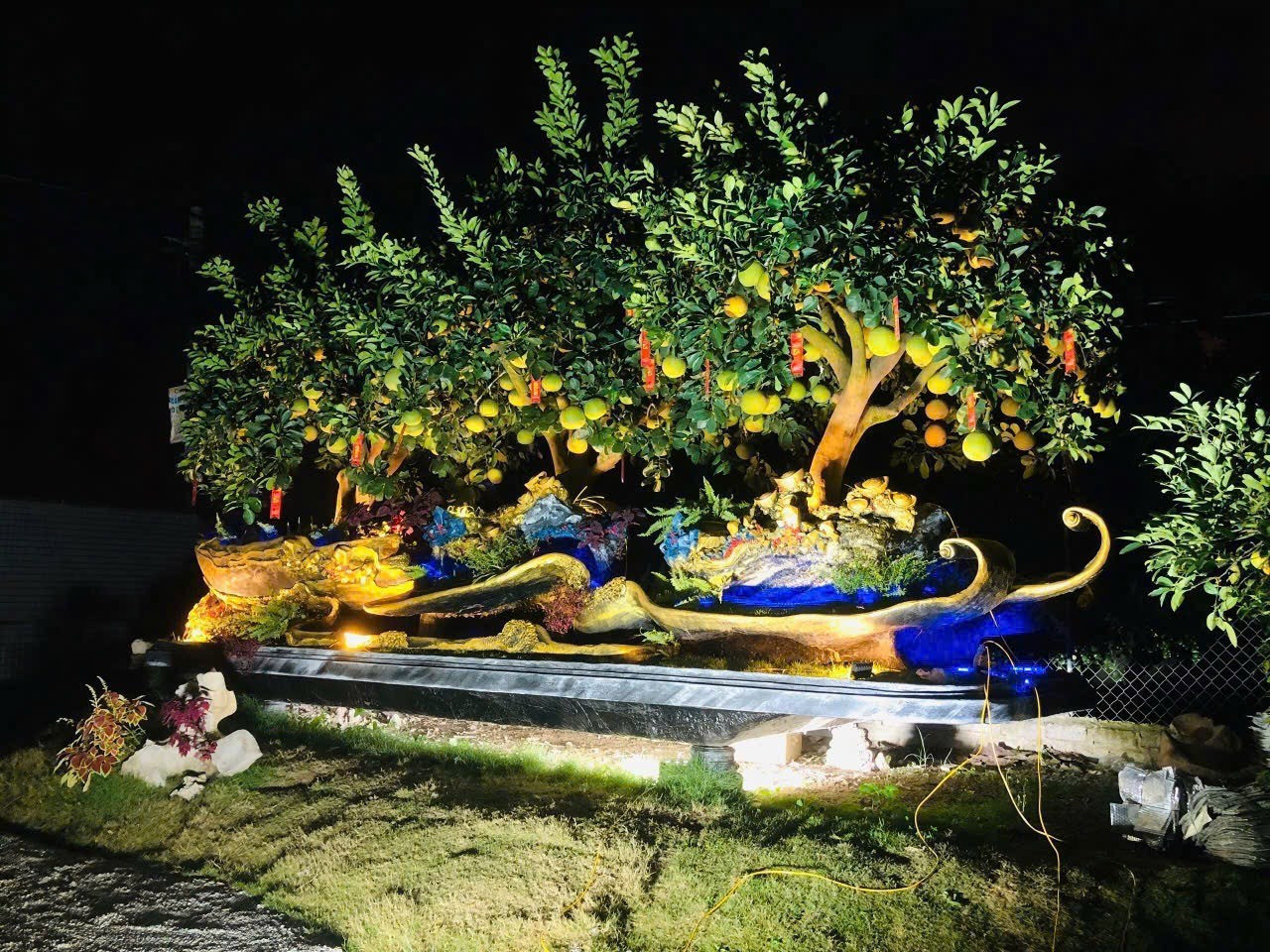 Choáng ngợp loạt ‘siêu phẩm’ cây cảnh chơi Tết ở Hưng Yên giá hàng trăm triệu đồng - Ảnh 11