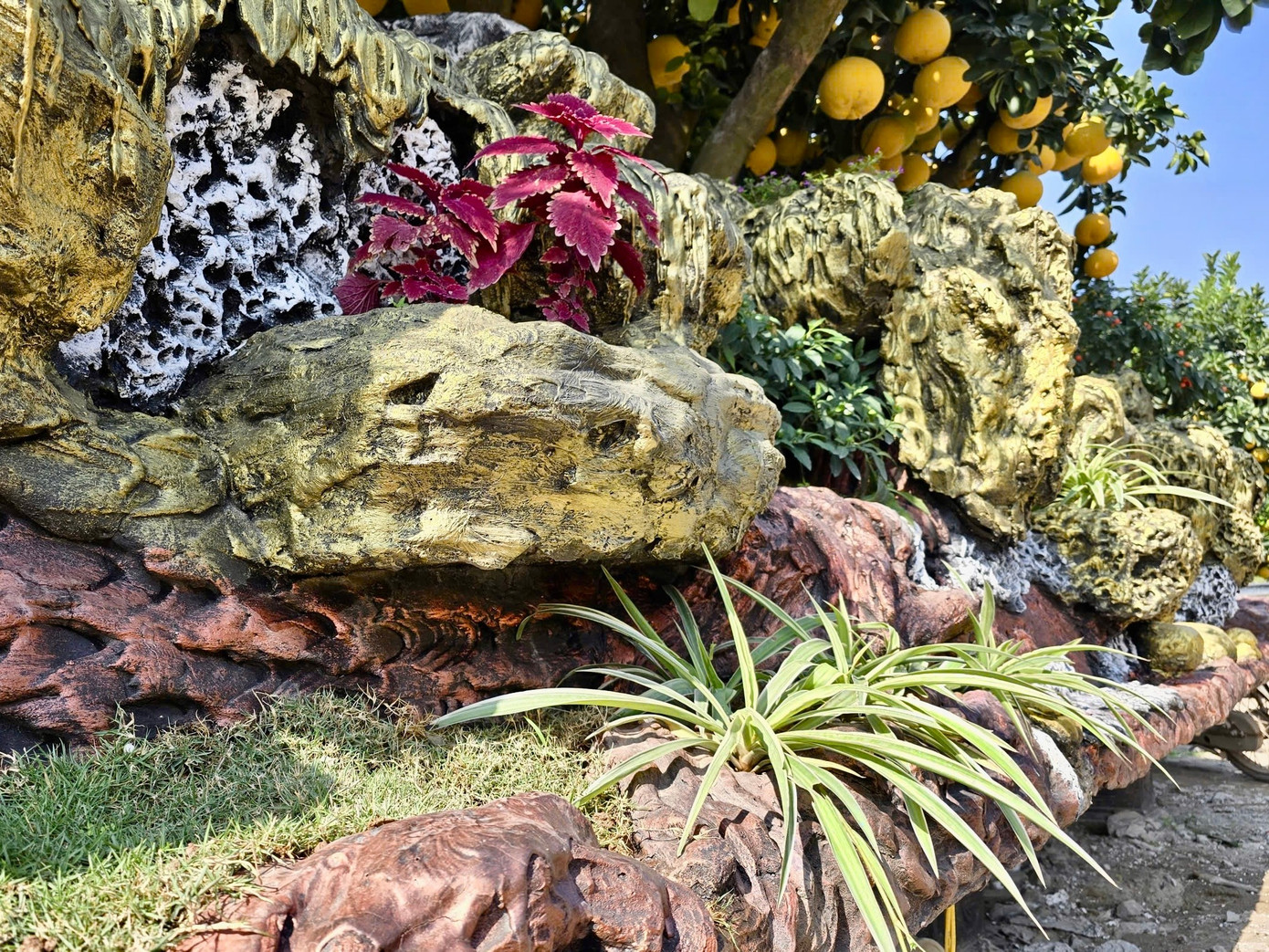 Choáng ngợp loạt ‘siêu phẩm’ cây cảnh chơi Tết ở Hưng Yên giá hàng trăm triệu đồng - Ảnh 10