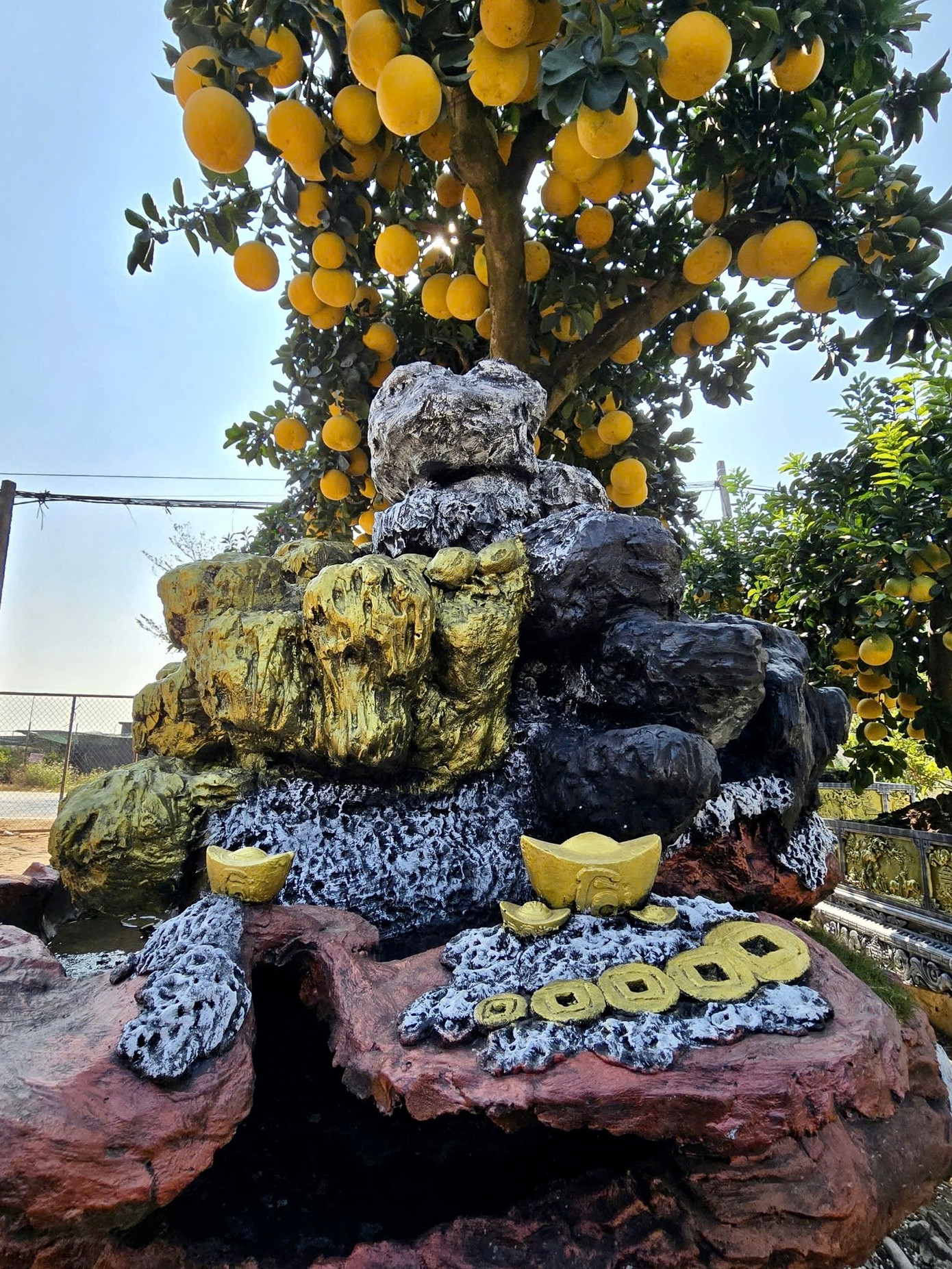 Choáng ngợp loạt ‘siêu phẩm’ cây cảnh chơi Tết ở Hưng Yên giá hàng trăm triệu đồng - Ảnh 9