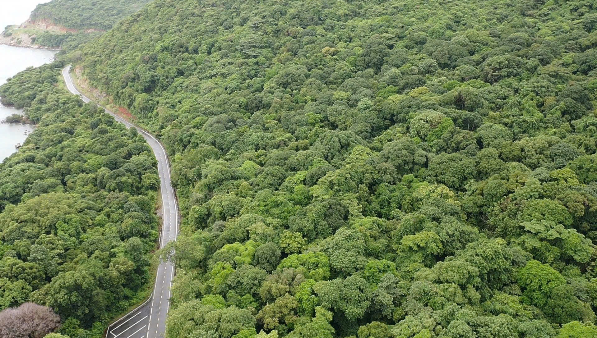 Thanh tra việc chuyển mục đích sử dụng đất rừng làm nhà máy xử lý rác Côn Đảo - Ảnh 1