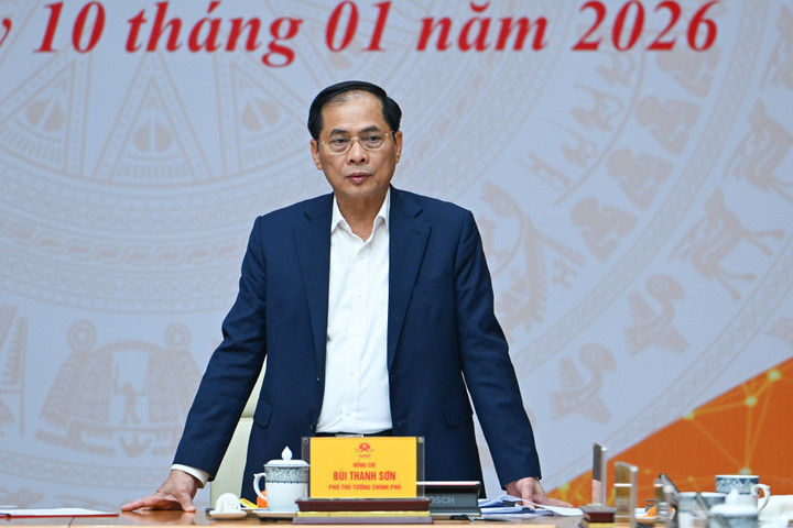 Thủ tướng: Sớm hoàn thiện chương trình hỗ trợ doanh nghiệp Việt Nam ra thế giới - Ảnh 3