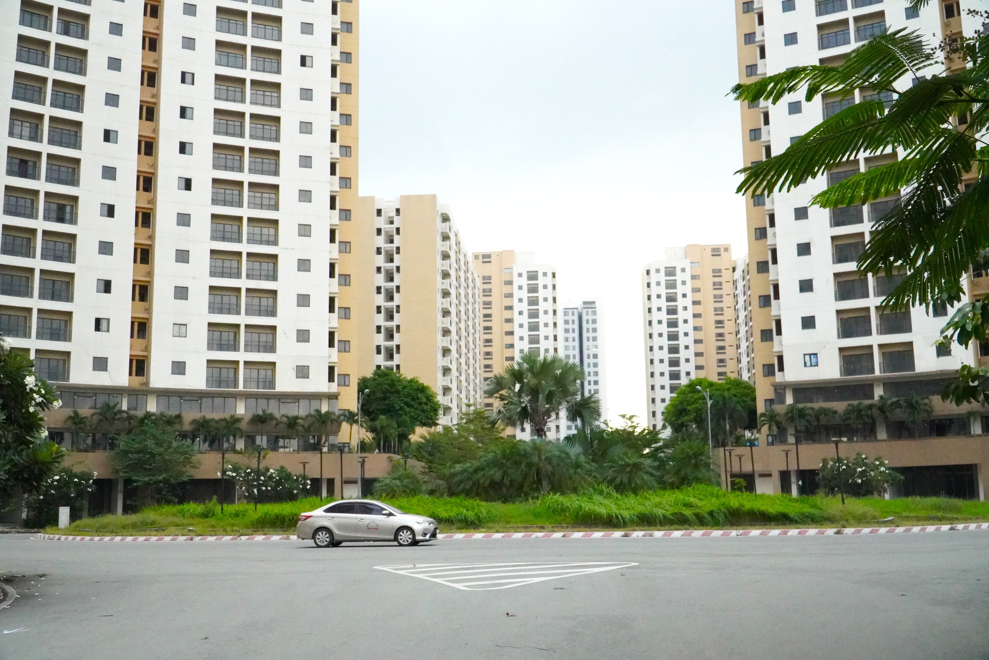 TPHCM: 148 khu đất làm dự án tái định cư, nhà ở xã hội - Ảnh 1