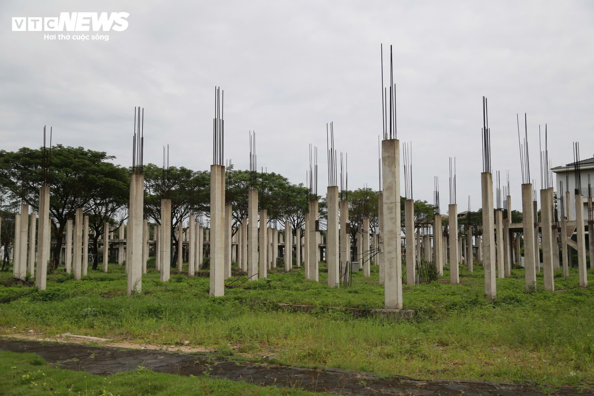 Cảnh dang dở ở dự án khu đô thị sinh thái gần 4.500 tỷ đồng ở Đà Nẵng - Ảnh 8