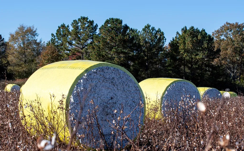 Việt Nam sở hữu 'mỏ vàng' gì mà thu gần 40 tỷ USD năm qua: Mỹ liên tục săn lùng, nước ta là ‘trùm’ đứng thứ 3 thế giới - Ảnh 1