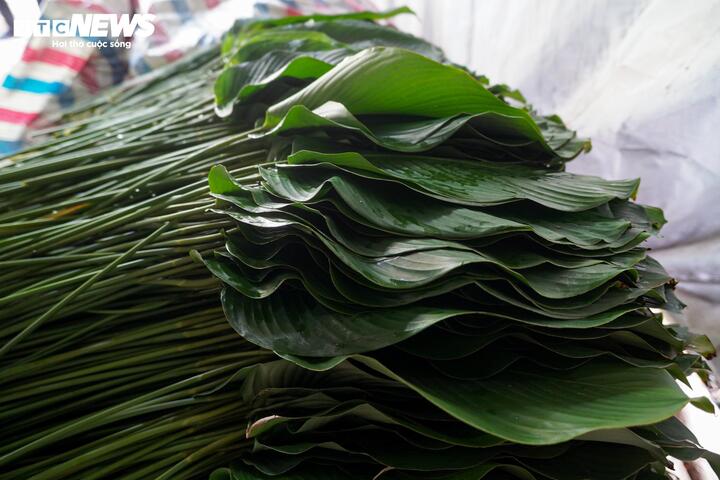 Làng lá dong vào vụ thu hoạch Tết, người trồng 'hái tiền' mỏi tay - Ảnh 11