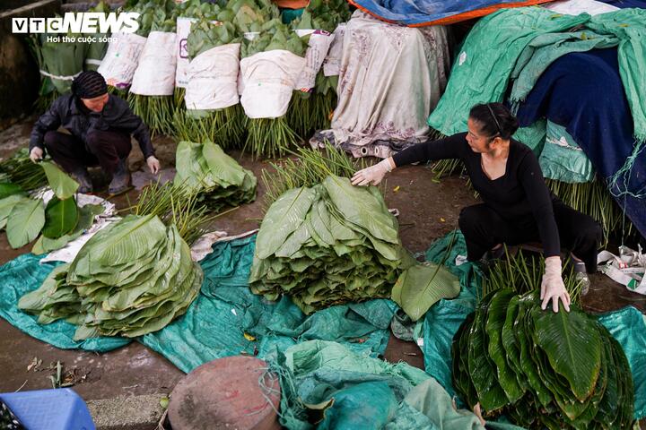 Làng lá dong vào vụ thu hoạch Tết, người trồng 'hái tiền' mỏi tay - Ảnh 12