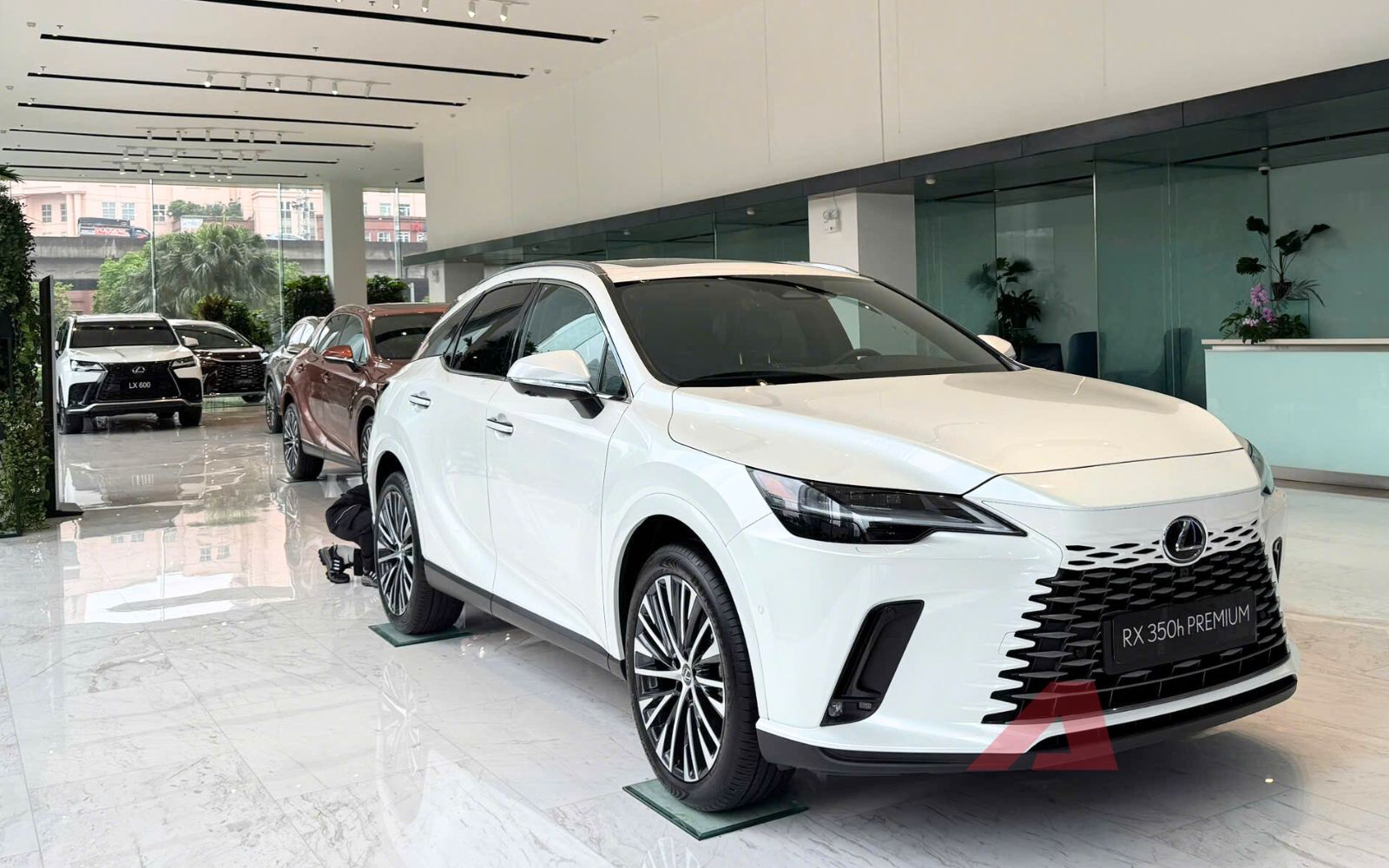 Mỗi ngày người Việt chốt 6 chiếc Lexus trong năm qua, đẩy doanh số hãng tại Việt Nam lần đầu vượt mốc 15.000 - Ảnh 1
