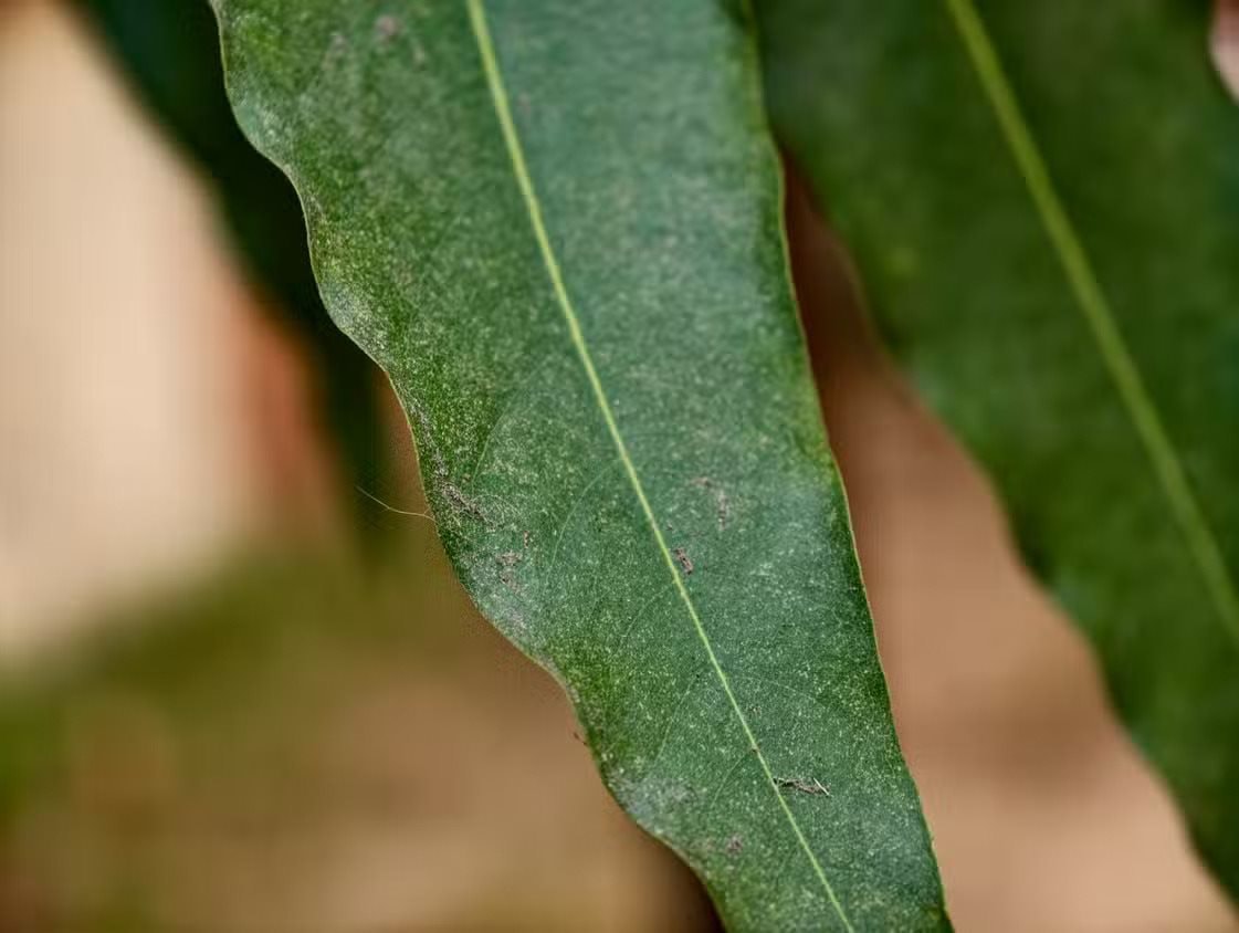 Chuyên gia công nghệ: "Năm 2026 rồi mà điện thoại Android nào vẫn chưa có tính năng này là tôi không mua" - Ảnh 4