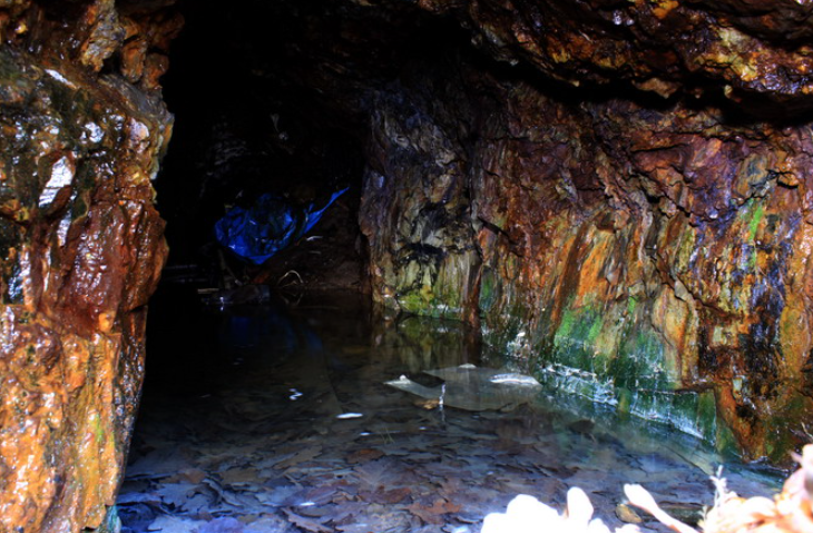 Phát minh biến "vua của các chất độc" thành báu vật chiến lược có thể rung chuyển ngành chip bán dẫn - Ảnh 2