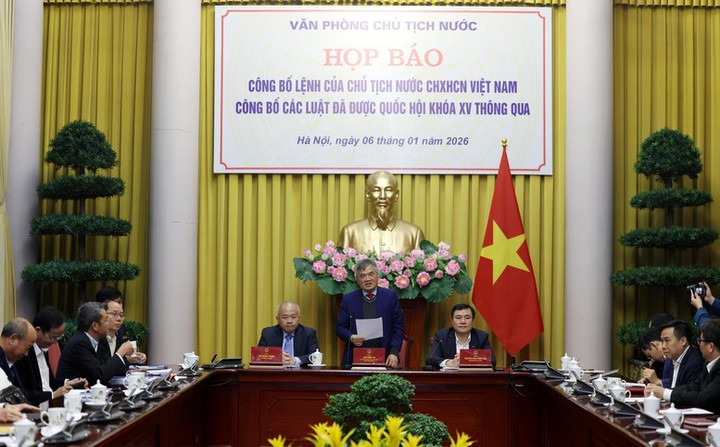 Công bố Lệnh của Chủ tịch nước về 12 luật liên quan lĩnh vực kinh tế - Ảnh 1