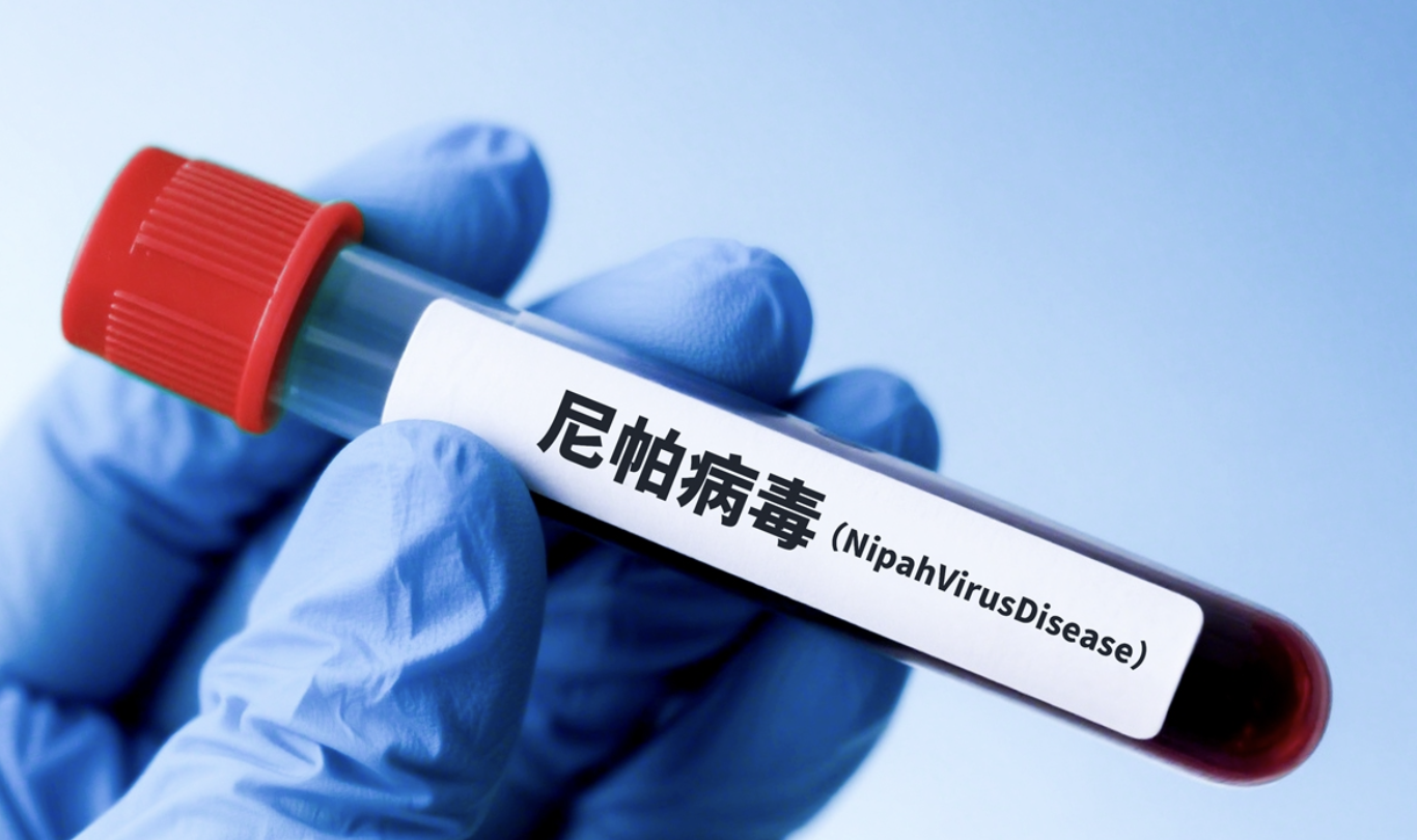 NÓNG: Các nhà khoa học Trung Quốc tìm ra thuốc kháng virus Nipah - Ảnh 1