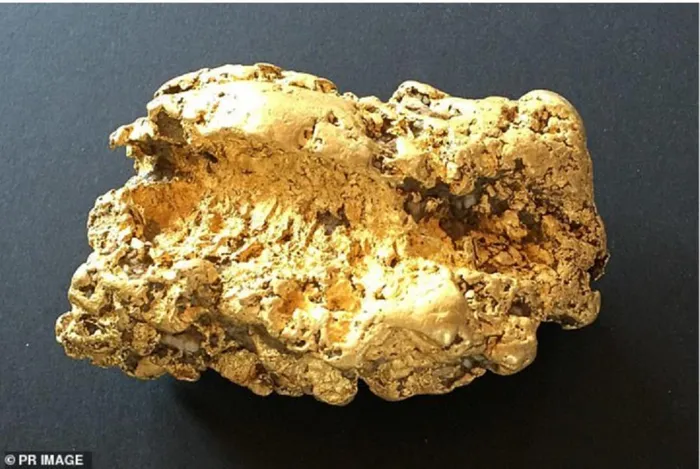 Đang đi chơi, người đàn ông nhặt được "kho báu" vàng - Ảnh 8