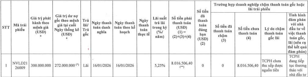 Novaland chậm thanh toán lãi cho lô trái phiếu chuyển đổi 300 triệu USD - Ảnh 1