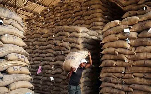 Ấn Độ vượt Trung Quốc trở thành nhà sản xuất gạo lớn nhất thế giới - Ảnh 1