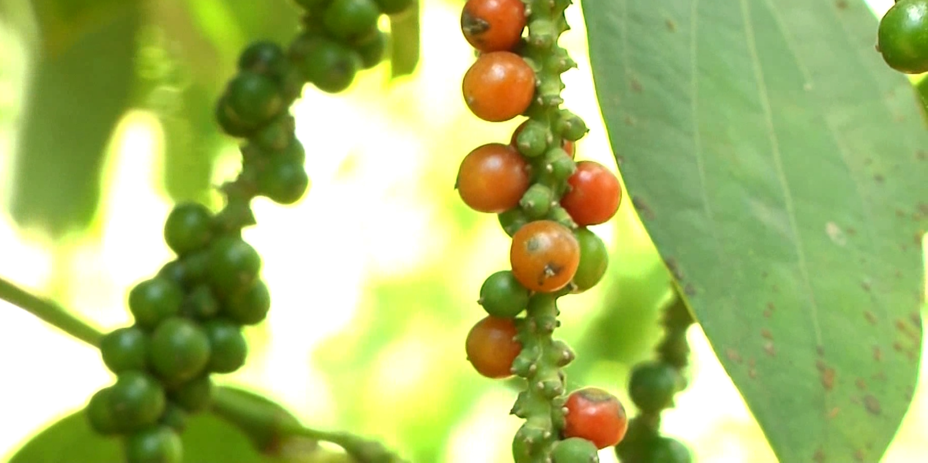 GDP 2025 tăng 8,02%: Bệ phóng cho mục tiêu tăng trưởng hai con số - Ảnh 3