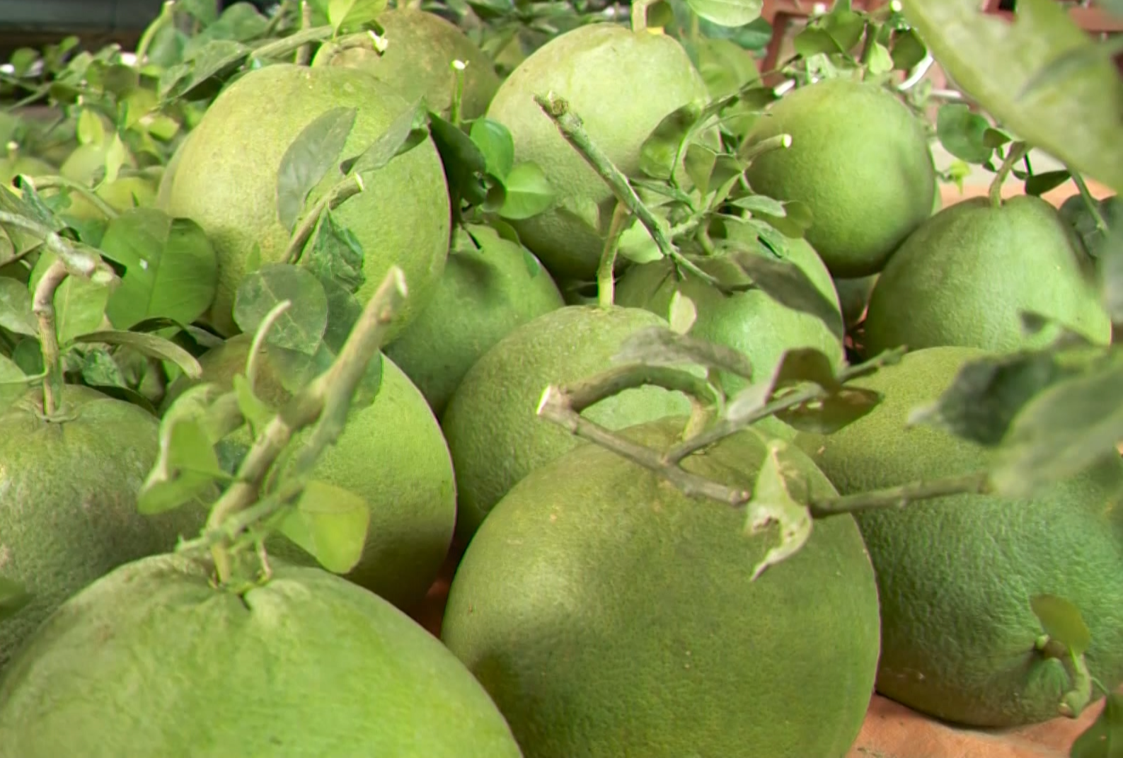 Kỷ lục xuất nhập khẩu 930 tỷ USD: Mở rộng quy mô, đi sâu về chất - Ảnh 2