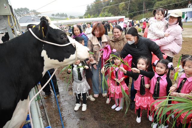 Di sản văn hóa từ thảo nguyên: Hội thi Hoa hậu Bò sữa Mộc Châu trở lại - Ảnh 2