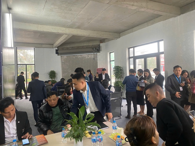 Giải mã sức hút của ROX Living Đức Thọ - Ảnh 1