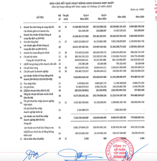 Sunshine Group tạo đột phá trong giai đoạn tái cấu trúc: Lợi nhuận 2025 vượt 11.200 tỷ, tổng tài sản gần 120.000 tỷ - Ảnh 1