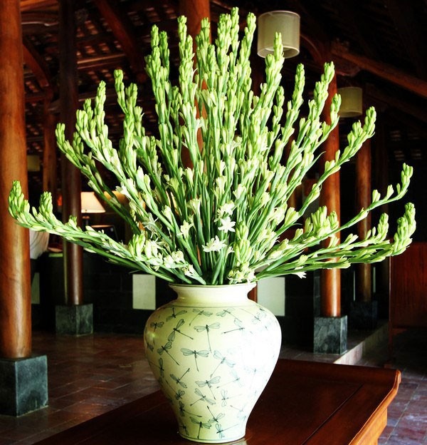 5 loại hoa NÊN trưng bàn thờ Tết: Giữ cát khí, tụ phúc lành, đón lộc đầu năm - Ảnh 5