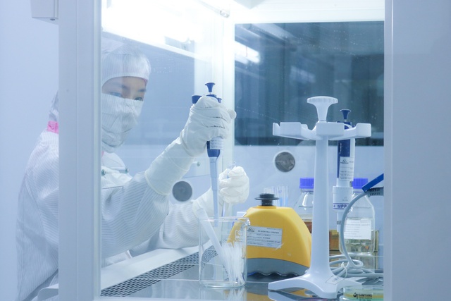 Doanh thu gộp năm 2025 của Imexpharm đạt 2.914 tỷ đồng, tăng 16,0% - Ảnh 2