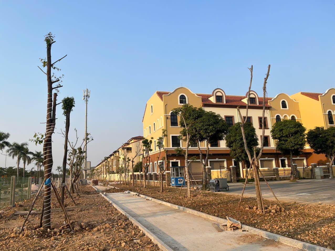 SJ Group tăng tốc triển khai Vista Nam An Khánh theo lộ trình đã công bố - Ảnh 3