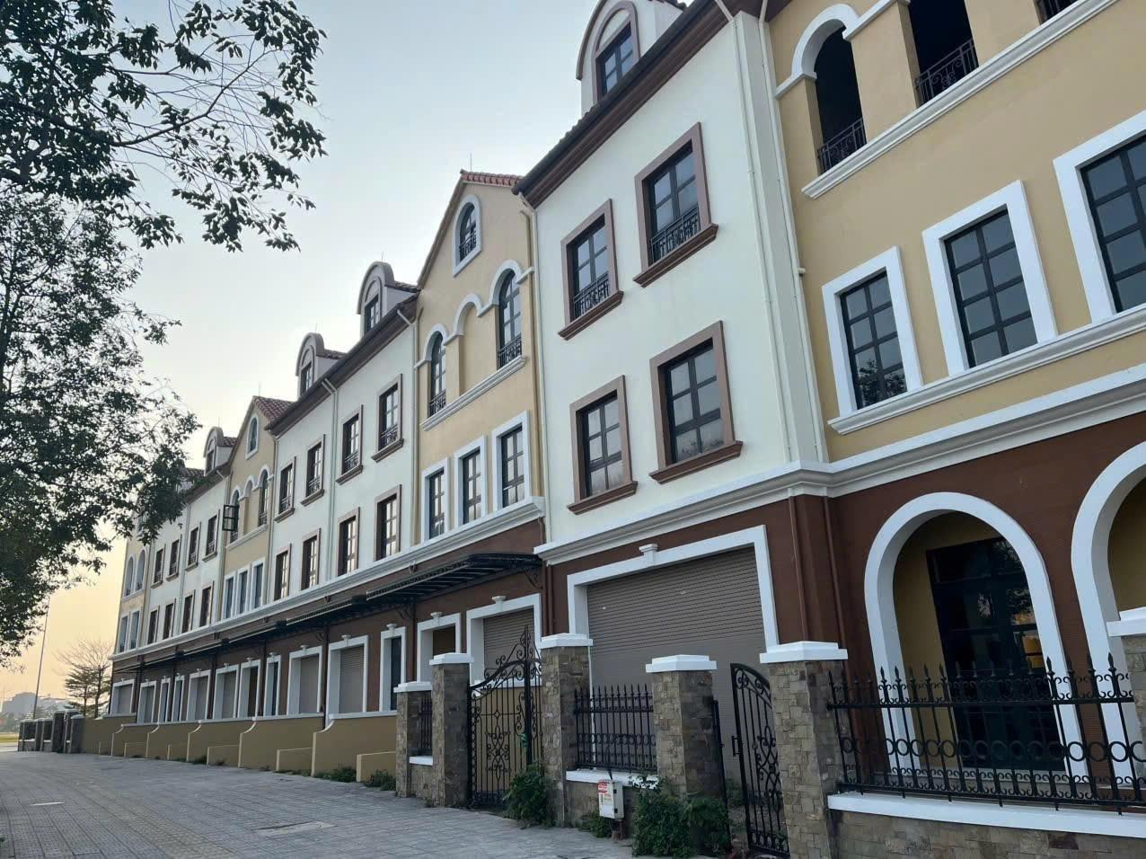 SJ Group tăng tốc triển khai Vista Nam An Khánh theo lộ trình đã công bố - Ảnh 4