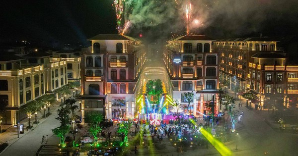 Menas Zone Vỹ Dạ chào năm mới 2026: Trải nghiệm di sản mở lối đầu tư