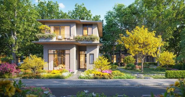 Rừng Mai – Mảnh ghép đầu tiên mở ra Mùa lễ hội tại Eco Retreat