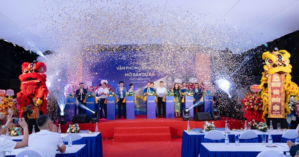 NETHOMES - Đơn vị tư vấn và phát triển kinh doanh bất động sản chuyên nghiệp